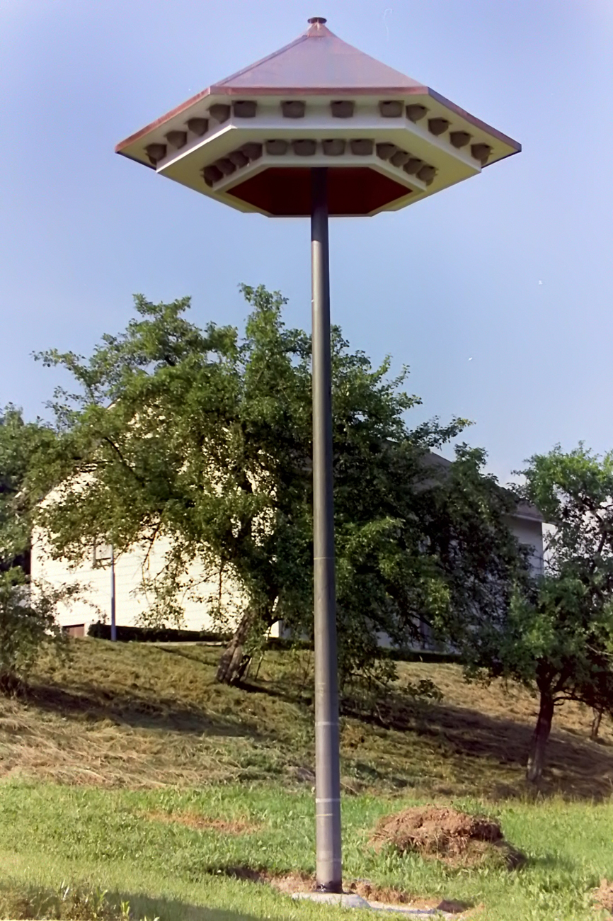 Fertiger Schwalbenbaum